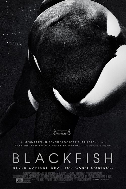 Documental Vegano Blackfish