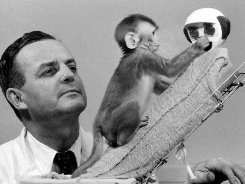 Experimentacion AnimalExperimento Harry Harlow monos mama